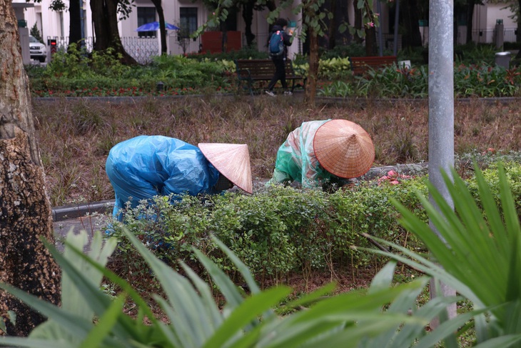 Chùm ảnh- Người dân Hà Nội trải nghiệm cái lạnh tê tái - Ảnh 14. Chùm ảnh- Người dân Hà Nội trải nghiệm cái lạnh tê tái - Ảnh 14.