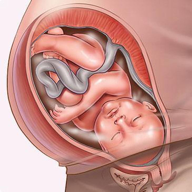 Tại sao áp lực âm đạo khi mang thai là hoàn toàn bình thường? - Ảnh 2.