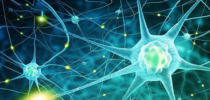 U xơ thần kinh là bệnh rối loạn di truyền gene trội, hiếm gặp, lành tính. U xơ thần kinh là bệnh rối loạn di truyền gene trội, hiếm gặp, lành tính.