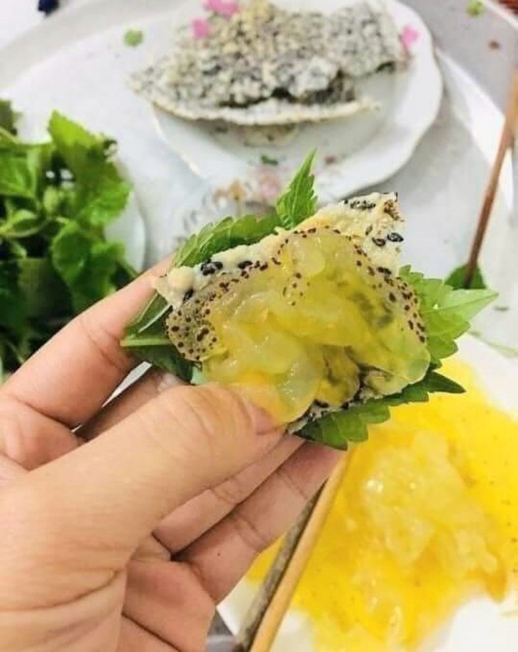 Sứa biển vào mùa, ngư dân Hà Tĩnh "đội rét" thu về hàng triệu đồng mỗi ngày  - Ảnh 13.