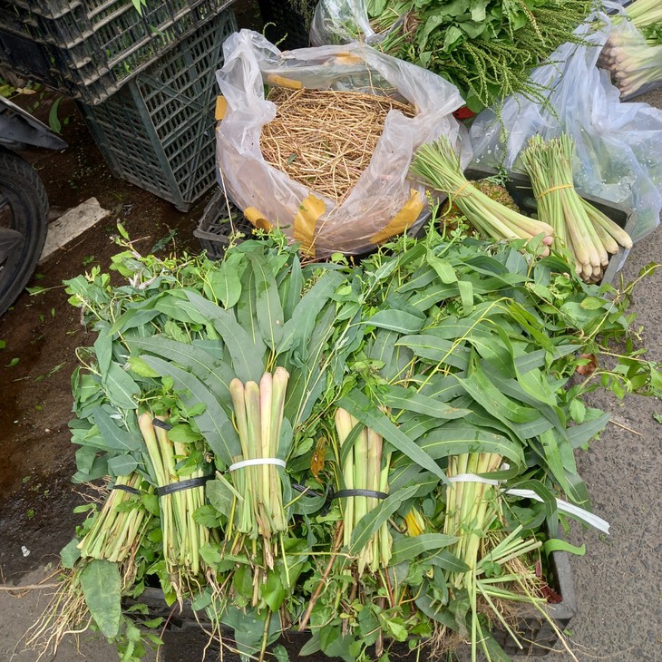 Nhộn nhịp mua lá xông mùa COVID-19 - Ảnh 7.