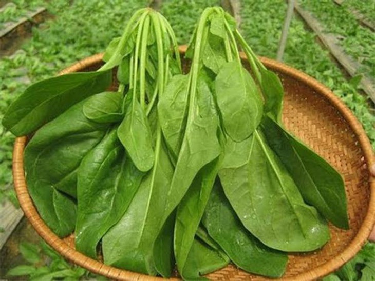 Muốn có đôi mắt khỏe đẹp bạn nên ăn 10 loại thực phẩm này - Ảnh 2.