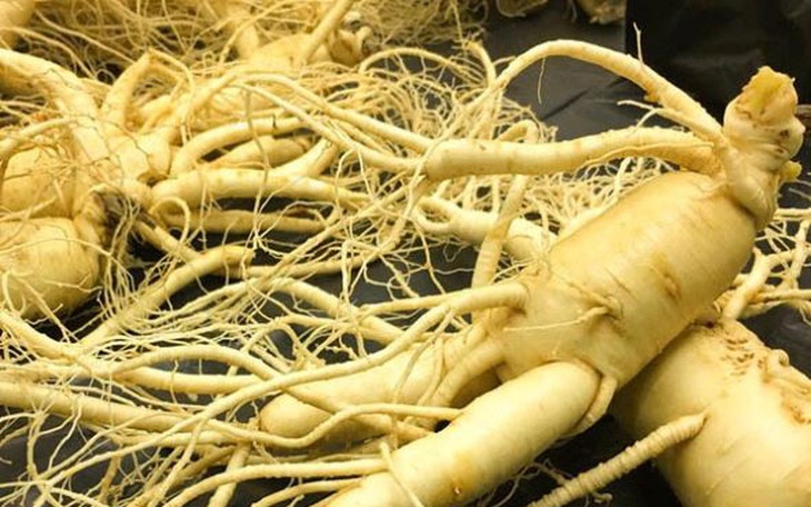 Bài thuốc hỗ trợ điều trị mất ngủ hậu COVID-19
