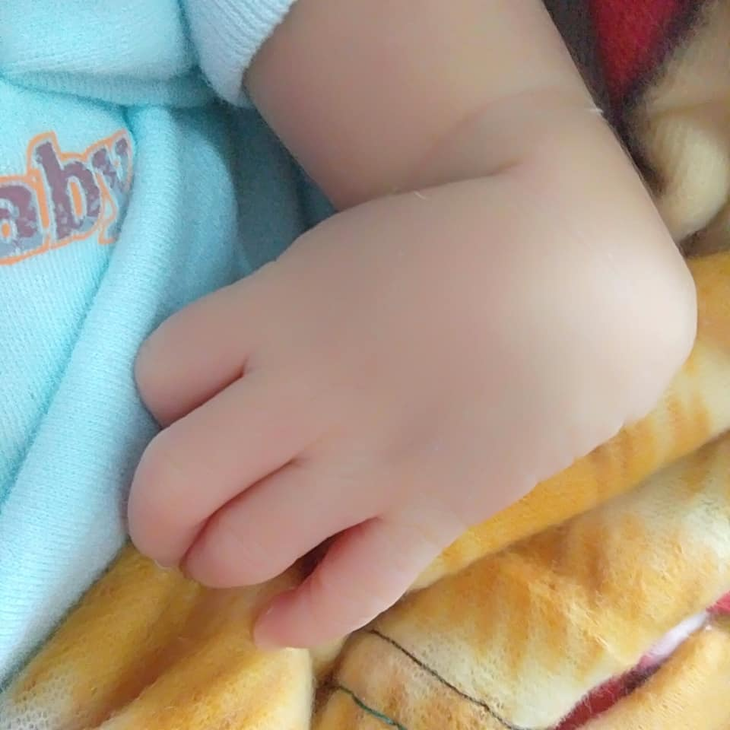 - Ảnh 2.