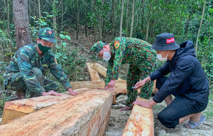 Bộ đội tuần tra biên giới phát hiện nhiều phách gỗ vô chủ - Ảnh 1.