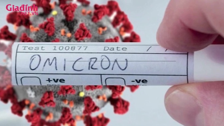 Miễn dịch cơ thể mạnh cỡ nào trước Omicron 'tàng hình' BA.2? - Ảnh 6. Miễn dịch cơ thể mạnh cỡ nào trước Omicron 'tàng hình' BA.2? - Ảnh 6.