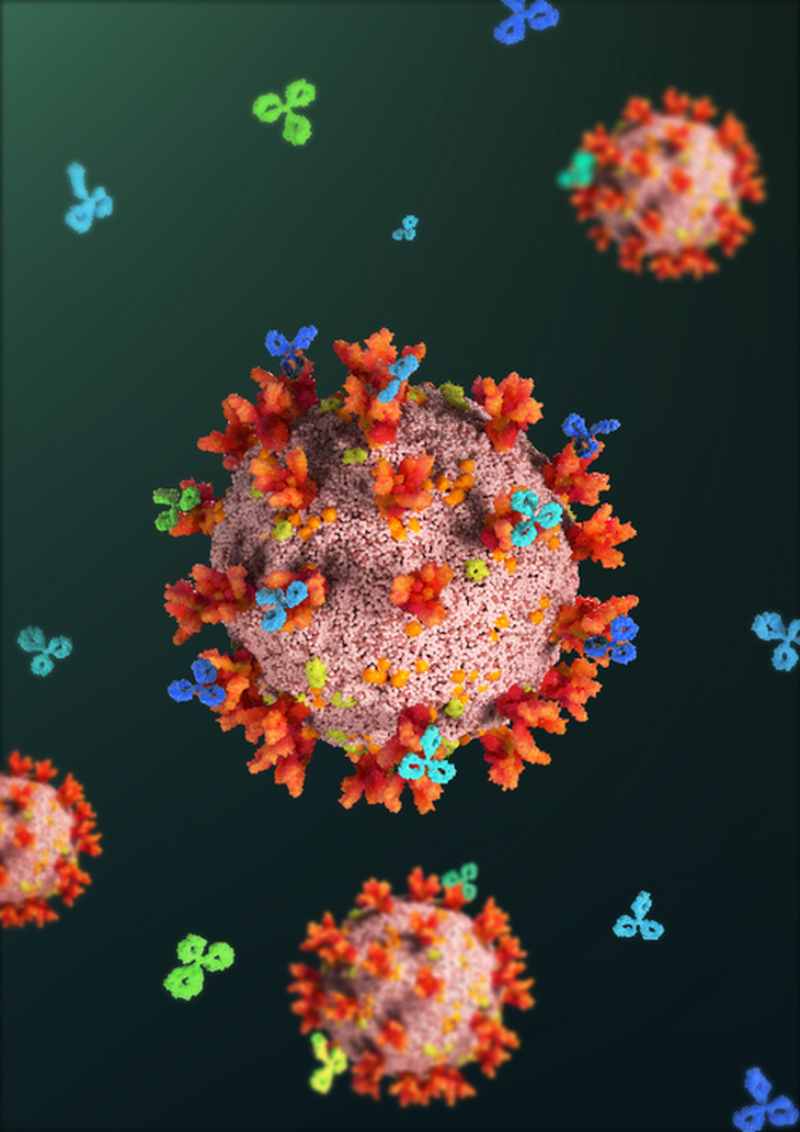Dự đoán hiệu quả các loại vaccine COVID-19 trong tương lai - Ảnh 1.