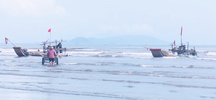 Ngư dân thu tiền triệu từ sứa biển, cá trích - Ảnh 2. Ngư dân thu tiền triệu từ sứa biển, cá trích - Ảnh 2.