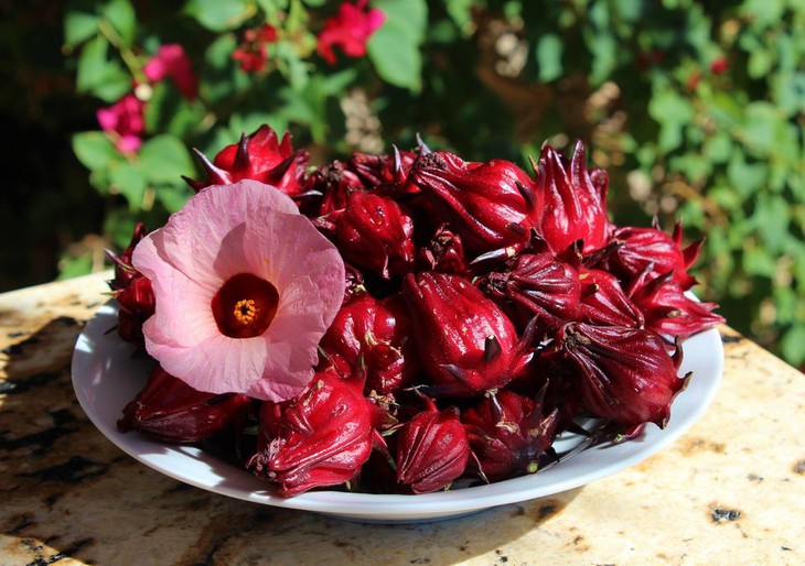 9 lợi ích của trà Hibiscus đối với sức khỏe - Ảnh 2.