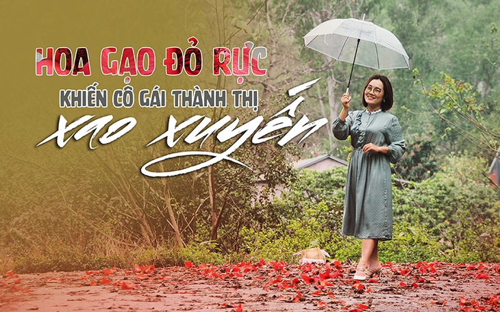 Hoa gạo thôn quê đỏ rực khiến nhiều cô gái thành thị xao xuyến