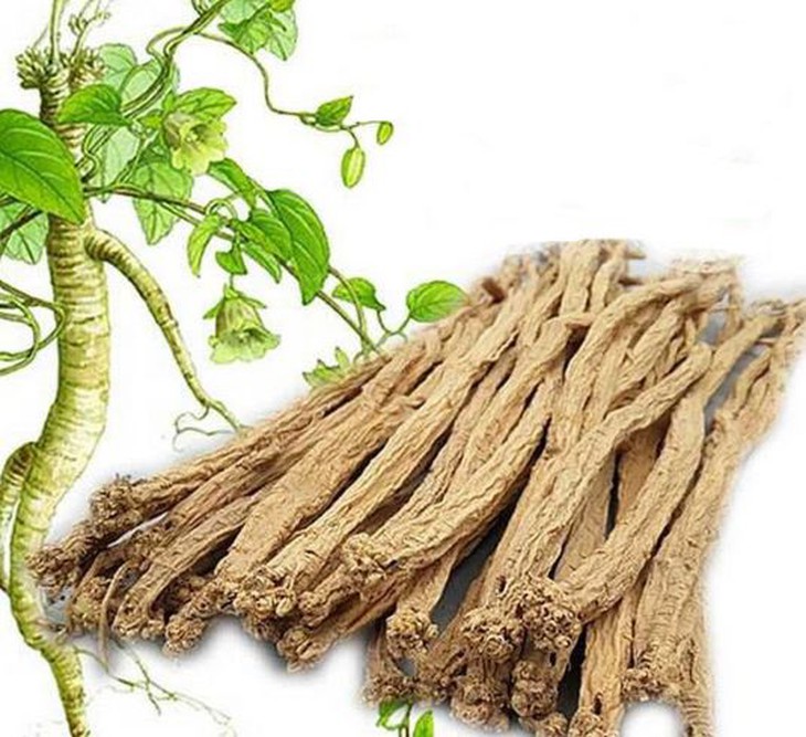 Bài thuốc hỗ trợ trị bệnh hay quên ở người cao tuổi - Ảnh 3.