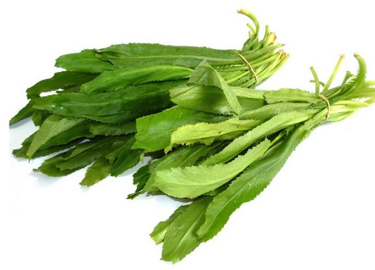 Những lợi ích sức khỏe của rau mùi - Ảnh 3.