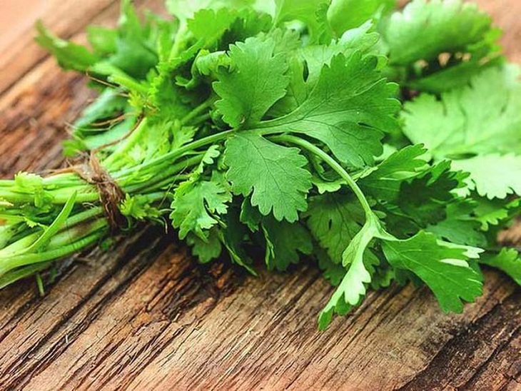 Những lợi ích sức khỏe của rau mùi - Ảnh 2.