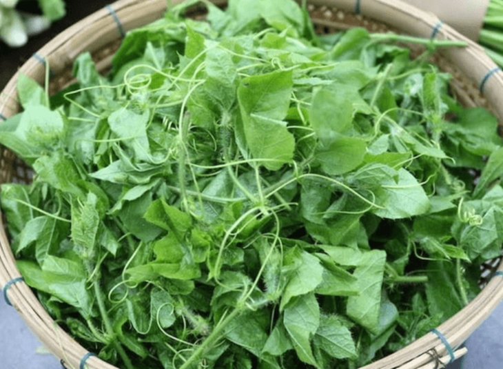 Lạc tiên - vị thuốc an thần, chữa mất ngủ, tim hồi hộp - Ảnh 3.