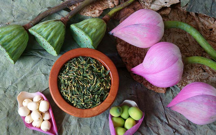 Lưu ý khi dùng tâm sen trị mất ngủ hậu COVID-19