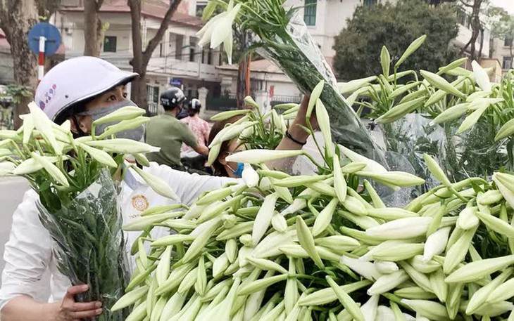 Hoa loa kèn đầu mùa, giá thành khá cao nhưng chị em Hà thành vẫn tấp nập đặt mua - Ảnh 1.