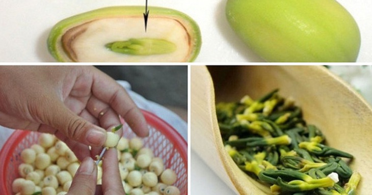 Lưu ý khi dùng hạt sen chữa mất ngủ hậu COVID-19 - Ảnh 2.