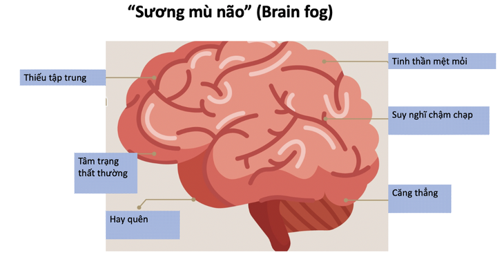 hau_covid.png hau_covid.png