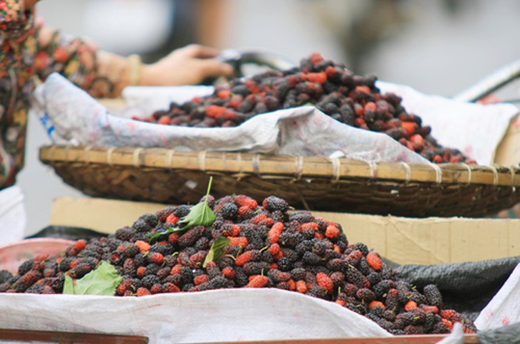Đang mùa dâu tằm chín rộ, tranh thủ chế biến thứ quả vừa ngon, vừa tốt cho sức khỏe - Ảnh 4. Đang mùa dâu tằm chín rộ, tranh thủ chế biến thứ quả vừa ngon, vừa tốt cho sức khỏe - Ảnh 4.
