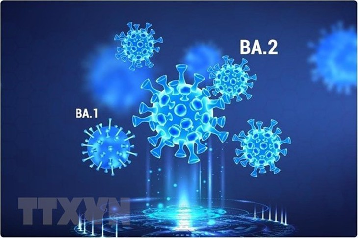 Chuyên gia cảnh báo nguy cơ xuất hiện biến thể nguy hiểm hơn Omicron - Ảnh 1. Chuyên gia cảnh báo nguy cơ xuất hiện biến thể nguy hiểm hơn Omicron - Ảnh 1.