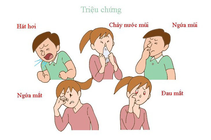 Viêm mũi dị ứng thời tiết và giải pháp hỗ trợ từ thảo dược - Ảnh 1.