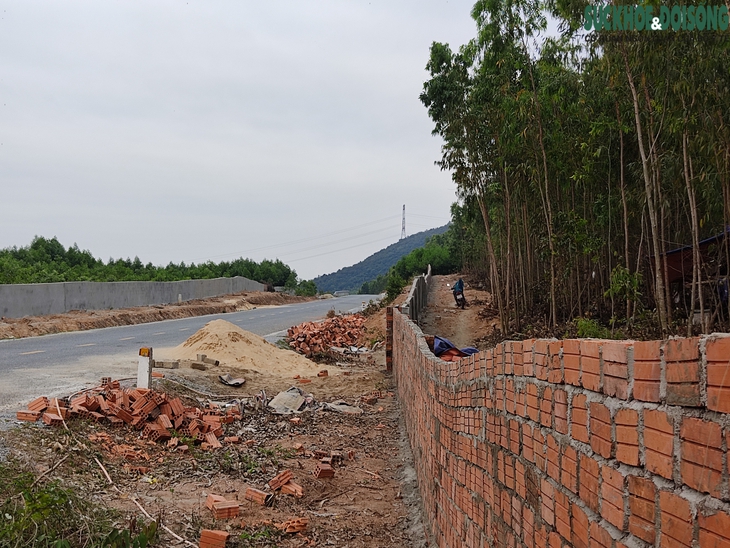 Làng quê nghèo bỗng hoá "đại công trường" sau tin đồn cao tốc chạy qua - Ảnh 2.