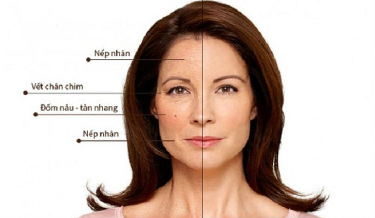 Cách đơn giản nhất để trẻ hóa làn da, bạn hãy ăn 9 loại thực phẩm này - Ảnh 2.