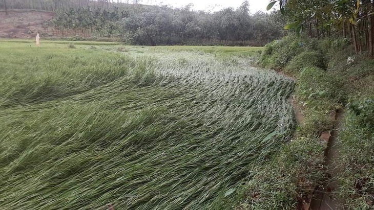 Thừa Thiên Huế: Lốc xoáy làm 4 người bị thương, hàng chục nhà bị tốc mái - Ảnh 4. Thừa Thiên Huế: Lốc xoáy làm 4 người bị thương, hàng chục nhà bị tốc mái - Ảnh 4.