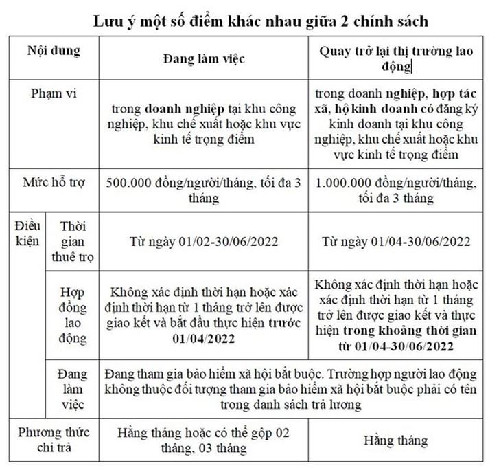 Tập trung nguồn lực, đẩy nhanh tiến độ xác nhận cho người lao động hưởng hỗ trợ tiền thuê nhà - Ảnh 1.