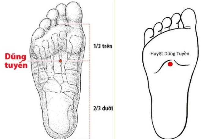 Day huyệt dũng tuyền hàng ngày giúp phòng và trị nhiều bệnh