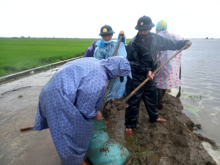 Bộ đội, dân quân dầm mưa giúp dân cứu lúa trước nguy cơ bị ngập - Ảnh 10. Bộ đội, dân quân dầm mưa giúp dân cứu lúa trước nguy cơ bị ngập - Ảnh 10.