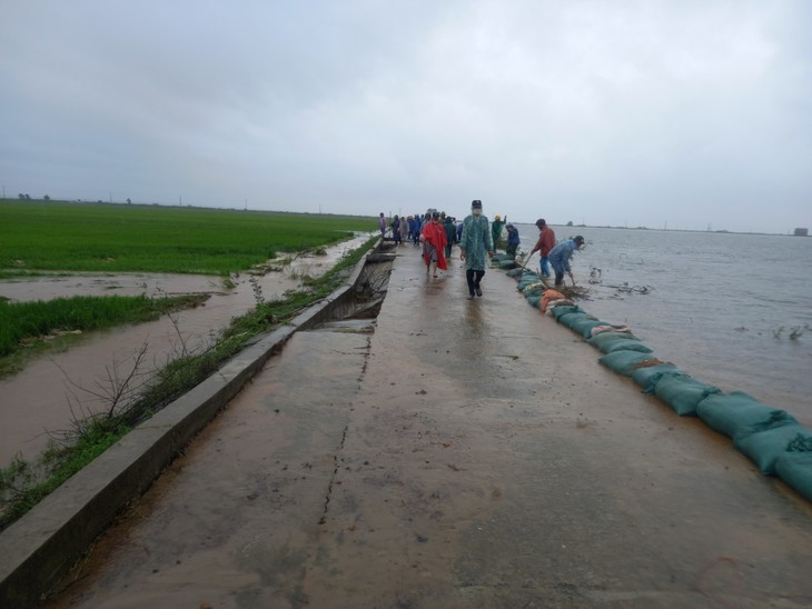 Bộ đội, dân quân dầm mưa giúp dân cứu lúa trước nguy cơ bị ngập - Ảnh 7. Bộ đội, dân quân dầm mưa giúp dân cứu lúa trước nguy cơ bị ngập - Ảnh 7.
