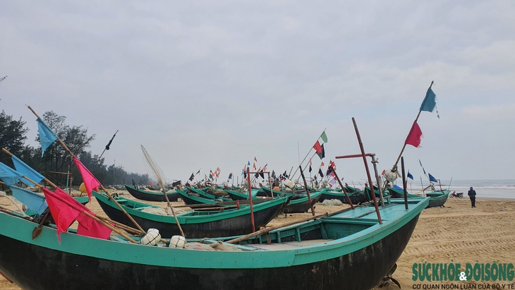 Giá xăng dầu “nhảy múa”, ngư dân Nghệ An gác thuyền nằm bờ - Ảnh 2. Giá xăng dầu “nhảy múa”, ngư dân Nghệ An gác thuyền nằm bờ - Ảnh 2.