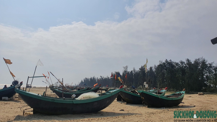Giá xăng dầu “nhảy múa”, ngư dân Nghệ An gác thuyền nằm bờ - Ảnh 3. Giá xăng dầu “nhảy múa”, ngư dân Nghệ An gác thuyền nằm bờ - Ảnh 3.