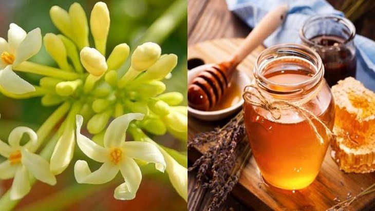 Thực hư hoa đu đủ đực ngâm mật ong trị ho hậu COVID-19 - Ảnh 2.