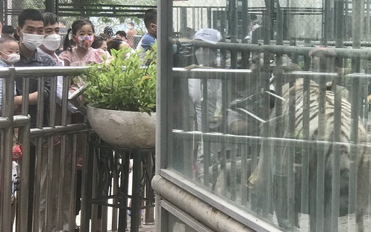 Nghỉ lễ, công viên Thủ Lệ đông nghẹt người sau thời gian dài vắng vẻ