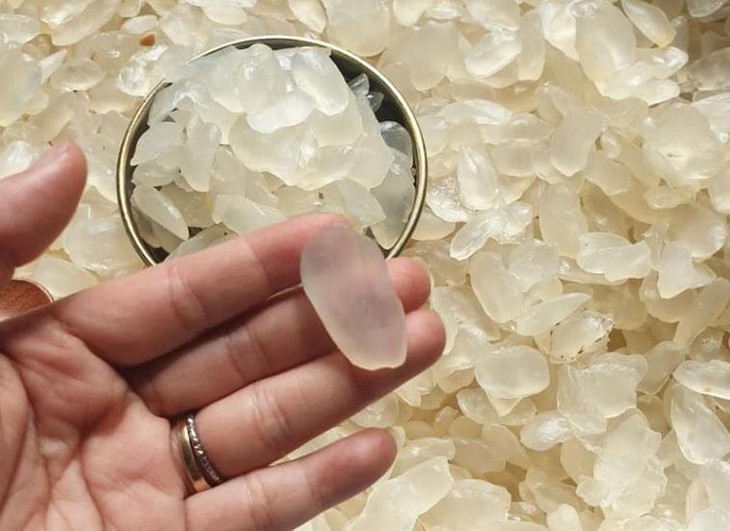 Loại 'gạo khổng lồ' trong veo, giá đắt đỏ bà nội trợ vẫn thích mê - Ảnh 1.
