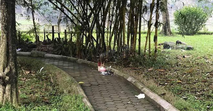 Thi thể cháy xém ở công viên và hành trình lật mặt gã bạn cũ tàn độc