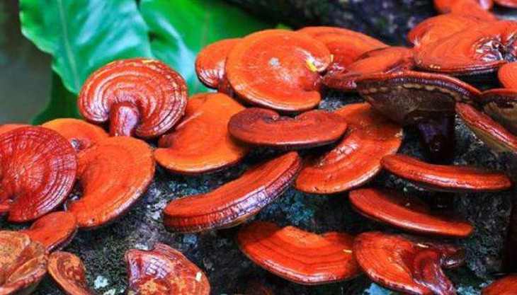 photo-1649903531288