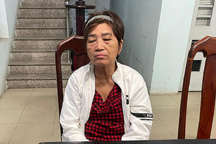 Liên tiếp những vụ người giúp việc trộm cắp tài sản của chủ nhà - Ảnh 1. Liên tiếp những vụ người giúp việc trộm cắp tài sản của chủ nhà - Ảnh 1.