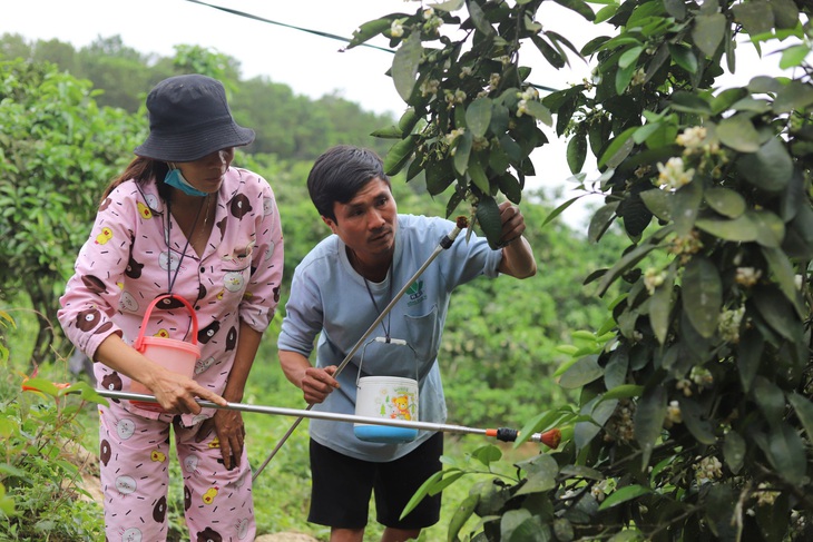 "Ma men" trở thành ông chủ vườn quả đặc sản - Ảnh 2.
