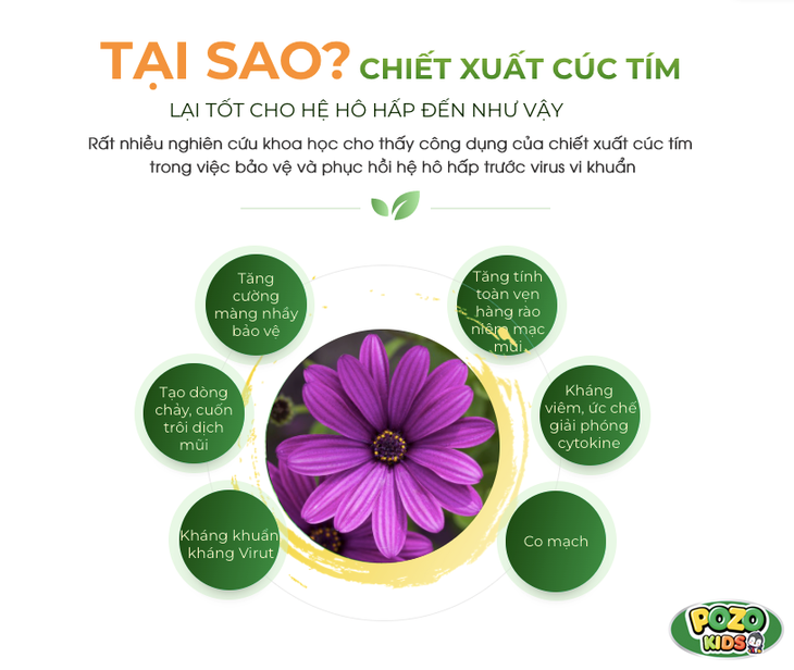 Phát hiện loại thảo dược kháng virus đường hô hấp - Ảnh 1.