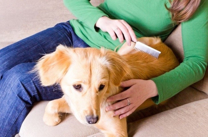 Nhận biết và phòng ngừa viêm kết mạc dị ứng - Ảnh 3.