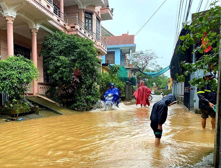 Mưa lũ trái mùa, vùng trũng ngập cục bộ, nông dân nguy cơ trắng tay - Ảnh 11. Mưa lũ trái mùa, vùng trũng ngập cục bộ, nông dân nguy cơ trắng tay - Ảnh 11.