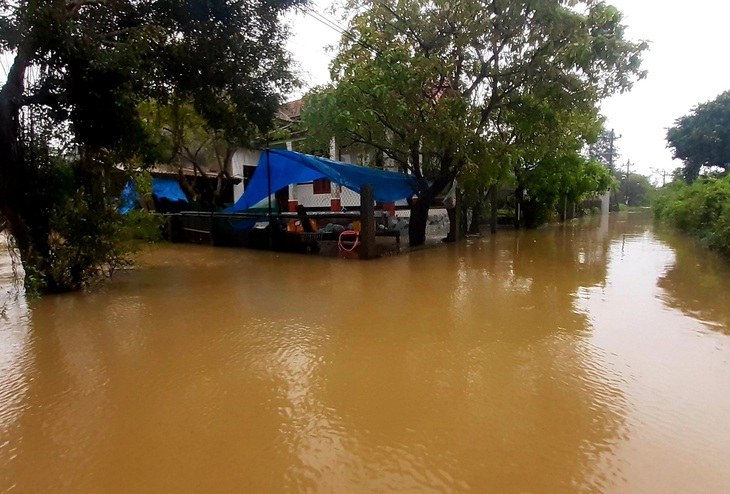 Mưa lũ trái mùa, vùng trũng ngập cục bộ, nông dân nguy cơ trắng tay - Ảnh 3. Mưa lũ trái mùa, vùng trũng ngập cục bộ, nông dân nguy cơ trắng tay - Ảnh 3.
