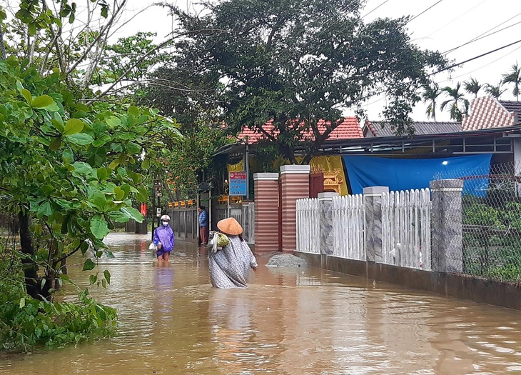 Mưa lũ trái mùa, vùng trũng ngập cục bộ, nông dân nguy cơ trắng tay - Ảnh 10. Mưa lũ trái mùa, vùng trũng ngập cục bộ, nông dân nguy cơ trắng tay - Ảnh 10.