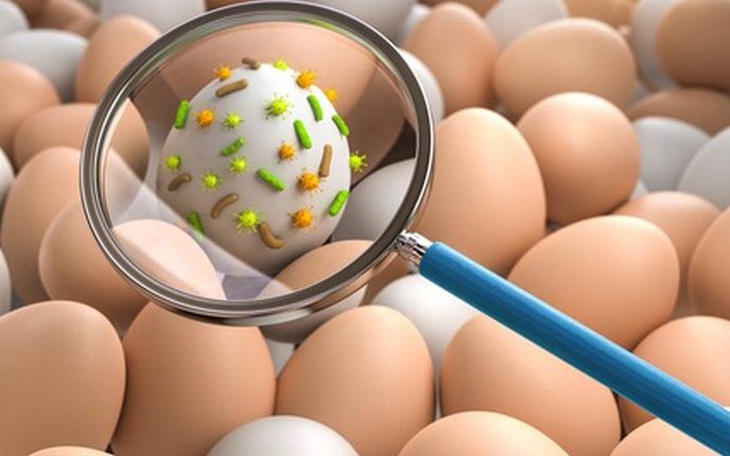Vi khuẩn Salmonella trong thực phẩm nguy hại với sức khỏe, làm thế nào để tránh?
