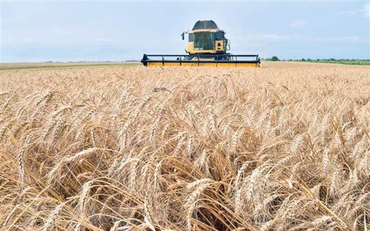 IMF hạ dự báo tăng trưởng toàn cầu do cuộc khủng hoảng Ukraine