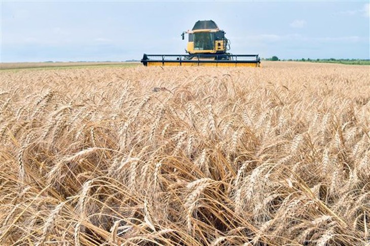 IMF hạ dự báo tăng trưởng toàn cầu do cuộc khủng hoảng Ukraine - Ảnh 3.