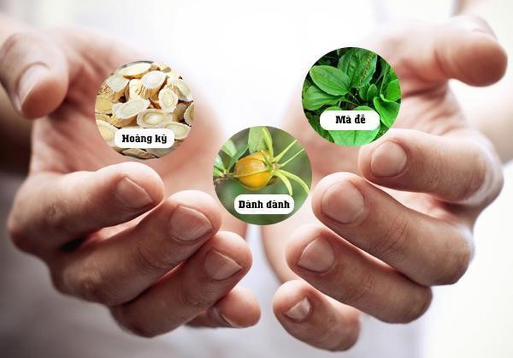 3 loại thảo dược giúp hỗ trợ tăng cường chức năng thận - Ảnh 2.
